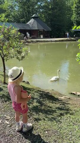 A young child, wearing a pink tank top, pink patterned shorts, white sneakers, and a white straw hat with a cat design, stands on a gravel path looking at a pond. The child is holding a baby doll. The pond is surrounded by trees and grass. In the background, there is a wooden building with a dark roof, labeled "KAFFE". Several people are visible in the distance, near the building and by the pond. A swan is swimming in the pond, and there appear to be other waterfowl. The scene suggests a sunny day, possibly late morning or afternoon, given the lighting. The overall atmosphere appears to be peaceful and recreational.