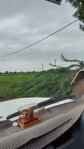The video begins with a view from inside a vehicle, showing a dashboard ornament. The vehicle is on a dirt road adjacent to a large green field. Several utility poles and wires are visible in the distance. As the vehicle moves forward, the camera pans to show more of the rural landscape, including trees and what appear to be farming implements or tractors. The sky is overcast and cloudy, suggesting a dull or possibly rainy day. The overall impression is that of a journey through a rural agricultural area.