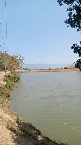 The video shows a scenic view of a calm body of water, possibly a lake or pond, under a clear blue sky. Lush green trees and vegetation line the shore, with one prominent tree in the foreground partially obscuring the view on the right side of the frame. In the distance, a dam or embankment is visible across the water, with a few structures and what appear to be trees or poles on top of it. The water's surface is slightly rippled, suggesting a gentle breeze. The overall impression is one of a tranquil, natural landscape.
