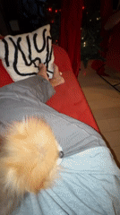 Woman relaxes with Pomeranian, cooks in Warsaw apartment