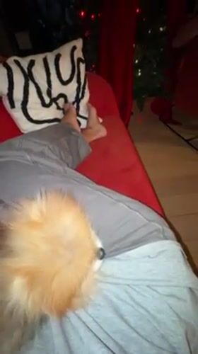 Woman relaxes with Pomeranian, cooks in Warsaw apartment