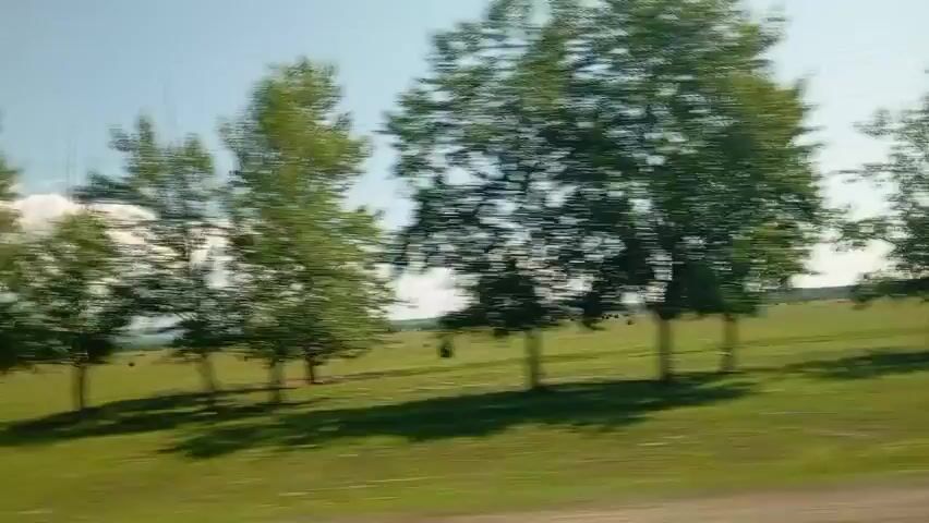 The video shows a landscape passing by from a moving vehicle. The primary elements are trees lining a grassy field under a bright sky with some scattered clouds. The trees appear to be deciduous, with full green foliage. The field is predominantly green, suggesting a summer or late spring setting. In some frames, telephone poles and power lines are visible, indicating the presence of infrastructure. The motion blur suggests the video was captured while traveling at a moderate speed. There are no people or animals clearly visible in the frames.