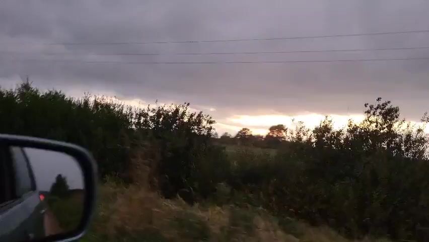 The video shows a landscape at dusk. The sky is overcast with dark clouds, but there is a sliver of light on the horizon, suggesting the sun may be setting. A line of trees and bushes runs across the middle of the frame, with tall grass in the foreground. There are power lines visible against the sky. The camera appears to be moving, possibly from a vehicle, as indicated by the slight shake and a black object in the lower left corner that could be part of a car or truck. The overall impression is of a rural or undeveloped area under a stormy sky.