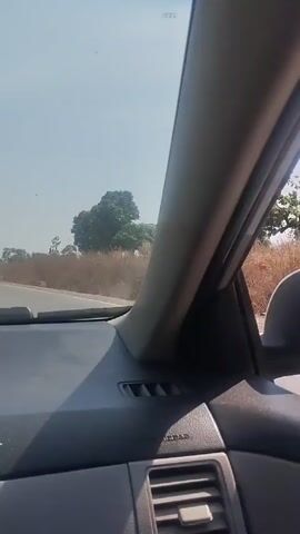 The video is taken from the interior of a car driving on a rural road. The dashboard is grey. The sky is bright and hazy.  The view out the window shows a straight road with brown vegetation on either side. In the distance, there are a few scattered trees.  Another vehicle can be seen traveling in the same direction on the road ahead.  The overall impression is of a sunny, but somewhat dry and arid landscape.  The car appears to be moving at a steady pace.
