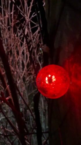 Domestic scenes and holiday decorations documented in Tyulyuk, Russia