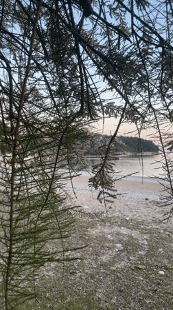 Person enjoys quiet sunset moment on Budva beach
