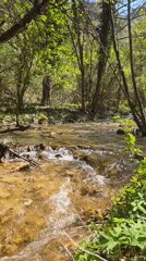 Spring stream flows through Bulgarian monastery forest