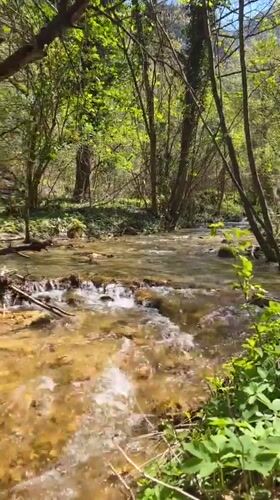 Spring stream flows through Bulgarian monastery forest