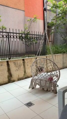 A young boy is sitting in a hanging chair swing on a tiled patio. He is wearing a white long-sleeved shirt, red shorts, and black and white shoes. The swing is white with tassels, suspended from above by a rope. The patio is bordered by a low, weathered wall topped with a black metal fence. A peach-colored wall is visible behind the fence, and there is some greenery visible. The boy sits for a moment, adjusts his position, looks forward, and then makes a face.