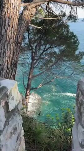 The video presents a static shot of a rocky coastline, framed by stone structures in the foreground. A large tree, likely a pine, is prominent in the middle ground. The tree's branches extend towards a vivid turquoise sea, where waves crash against the rocks. The camera remains still throughout the video.