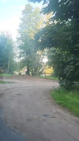 The video shows a view from a moving vehicle. The vehicle is traveling on a dirt road or path, with grass and trees on either side. In the distance, there appears to be a body of water, possibly a lake or pond. There are also some buildings or structures visible in the background, some of which appear to be old or in disrepair. The lighting suggests it is daytime, with sunlight filtering through the trees. There are no people or animals visible in the video.