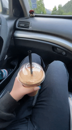 Car journey documented with coffee and meals in Zlatograd