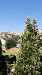 Morning views across Göreme's rock formations and stone terraces