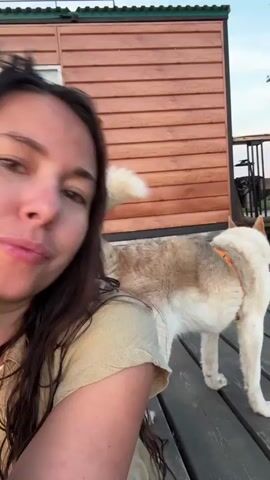 A woman with long brown hair films herself with a selfie-style camera. A light brown and white dog is positioned on her shoulder, facing away from the camera. The dog is wearing an orange harness. The woman is wearing a yellow shirt. They are both on a wooden deck in front of a wooden building with horizontal siding. The sky in the background is a soft blue and pink, suggesting it is either sunrise or sunset.
