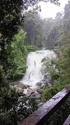 A video shows a lush green forest with a large waterfall in the center. The waterfall cascades down a rocky cliff face, surrounded by dense foliage. The water is a brilliant white, contrasting with the dark green of the trees and the gray of the rocks. The sky above is overcast, suggesting it may be raining or has recently rained. In the foreground, a wooden railing is visible, implying that this is a viewpoint or a path overlooking the waterfall. The overall impression is one of natural beauty and tranquility.