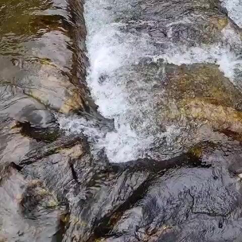 The video shows a close-up, top-down view of a shallow, rocky stream. White water rushes over dark, wet rocks. The water appears clear, and the rocks are varied in color and texture, with some showing moss or algae. The lighting suggests it is daytime, possibly overcast or in a shaded area, as there are no harsh shadows. The focus is entirely on the water and the rocks.