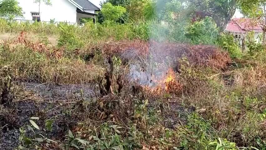 The video shows a small fire burning in dry brush and foliage. Smoke rises from the fire, and flames are visible. In the background, there are houses and trees. The fire appears to be contained within the brush and is not spreading rapidly. The overall scene is of a rural or suburban area where vegetation is being cleared or has become overgrown.