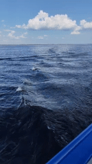 Boat journey recorded on Russian waters