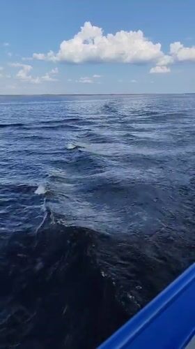 Boat journey recorded on Russian waters