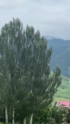 A long shot of a green mountainous landscape under a cloudy sky. In the foreground, a tall tree with green leaves is on the left. To the right of the tree, a house with a red roof is visible, surrounded by greenery and smaller trees. The background shows layered mountains covered with trees, and rolling green hills.
