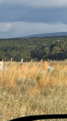 Afternoon scenes around Primorsko's Black Sea coastline