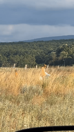 Afternoon scenes around Primorsko's Black Sea coastline