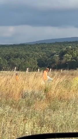 A group of people are walking through a field of tall, dry grass under a cloudy sky. The sun is low, suggesting it is either early morning or late afternoon. The terrain is rolling, with a dense forest visible in the background. The people appear to be casually dressed, and some are wearing hats, possibly for sun protection. One individual in the foreground is wearing an orange shirt and a straw hat and appears to be carrying a white object. Another person in an orange shirt is further in the background. The overall mood seems relaxed and peaceful. There are some vertical white flags or markers visible in the middle ground, but no legible text is discernible. The scene appears to be outdoors in a natural, rural setting, possibly near Primorsko, Bulgaria.