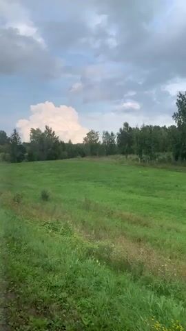 A video shows a green field with a dirt road on the left side and trees on the horizon under a cloudy sky. The camera moves forward, revealing a large white cloud in the distance.