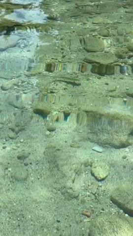The video shows an underwater view of a shallow, clear stream with a rocky and sandy bottom. The water's surface reflects sunlight and the surrounding environment, creating distorted, colorful patterns. Several small fish can be seen swimming in the water. The rocks on the stream bed are varied in size and shape, with some appearing smooth and rounded, while others are rougher. The sandy areas are lighter in color and appear to be undisturbed. The overall scene is one of natural, aquatic tranquility.