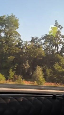 The video shows a view from inside a vehicle looking out a window. The window is reflecting the interior of the vehicle, specifically the black upholstered seats in the foreground. The exterior view consists of a clear blue sky above a dense line of green trees and tall pines. The trees appear to be a mix of deciduous and coniferous. A road or shoulder is visible at the base of the trees, with some sparse vegetation and what might be small, colorful flowers. The vehicle is moving, indicated by the slight blur of the passing scenery. There are no people visible in the frame, and no specific actions are taking place other than the implied movement of the vehicle.