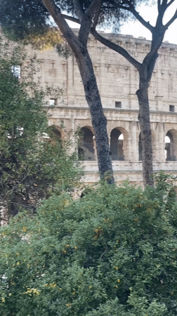 Skateboarding World Cup competition at Skate World Rome, June 2026