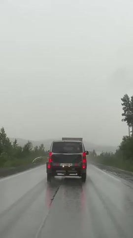 A car drives on a wet road in the fog, with trees on the side of the road. The car has its hazard lights on.