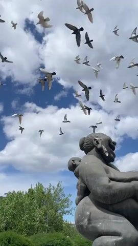 The video shows a flock of birds flying around a statue. The statue is of a large woman with one child on her back and another child nursing at her breast. The woman is sitting on the ground, and the child at her breast is standing in front of her. The statue is set against a backdrop of trees, a blue sky and clouds.