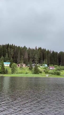 A drone shot pans across a calm lake, revealing a dense forest lining the opposite shore. Scattered among the trees are several small houses, some with red roofs and others white. The sky is overcast, suggesting a cloudy day. The water is dark and choppy, with ripples spreading across its surface. The trees are tall and green, creating a thick canopy. The houses are small and spread out, with some clearings for yards. The scene appears to be a rural or remote location.