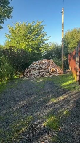 A pile of chopped wood is shown in a yard. The wood is of various sizes and appears to be dry. The pile is in front of a fence and some trees. The sun is shining and the sky is clear.