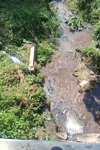 A high-angle medium shot shows a narrow, shallow stream of murky, brown water flowing through a natural environment. The stream is bordered on both sides by lush green vegetation, including grass and leafy plants. There are a few rocks and some debris visible in and around the water. A concrete structure, possibly a small bridge or culvert, is visible on the left side of the frame. The water is flowing and appears to have some movement and turbulence in places, particularly a splash of white water at the bottom right of the frame. The overall impression is of a natural watercourse, possibly affected by runoff or pollution, set in a verdant landscape.