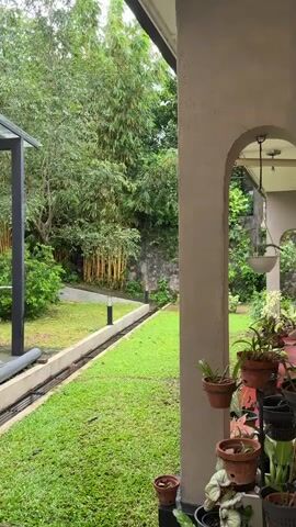 The video shows a backyard with lush green grass and trees. There are several potted plants in the foreground, with a concrete archway to the right. A drainage channel runs along the edge of the grass, with two modern outdoor lights visible. The background features a dense bamboo grove and a stone wall. The lighting suggests it is daytime, possibly overcast or after rain. There are no people visible in the video.