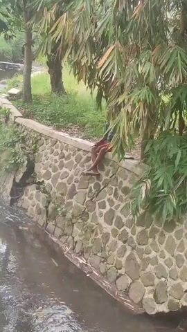 A person sits on a stone wall above a stream, and then an older person fishes in the stream. The stream is surrounded by lush vegetation and rocks. The stone wall shows signs of damage. Debris litters the stream.