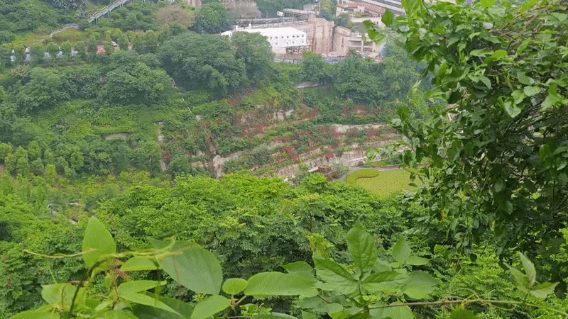 Aerial view captures green landscape in Yuzhong District