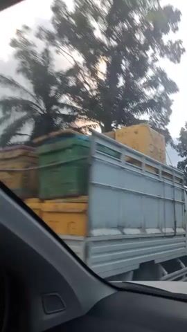 The video begins by showing the side of a white truck with a light blue cargo bed driving down a road. The truck is carrying a large yellow object with some writing on it. The view then shifts to the right, looking out a car window at a blur of trees and the sky. The camera continues to move, showing more of the passing scenery which includes houses, clouds, and sunlight breaking through. The video concludes with a shot of a building with a rusted tin roof and several windows, with trees and more houses visible in the background. The overall impression is of a journey through a rural or suburban area.