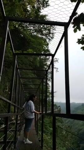 A woman walks along a narrow, metal, caged walkway suspended over a steep, green ravine. The walkway has a metal grate floor and is enclosed by metal bars and mesh fencing. The woman is wearing a white t-shirt and blue shorts. She is walking away from the camera, towards the end of the walkway, where another person can be seen in the distance. The environment is lush and green with trees and foliage visible on the ravine walls and in the distance. The sky is overcast.