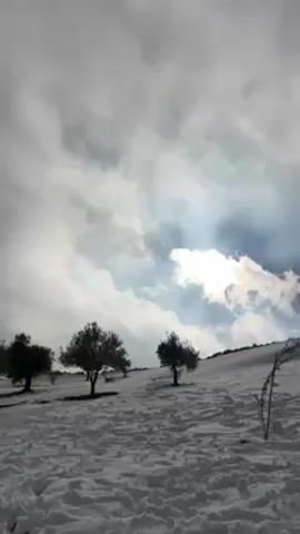 The video shows a snow-covered slope with sparse trees under a cloudy sky. A person walks uphill through the snow. The sun is partially obscured by the clouds, creating a bright spot in the sky.