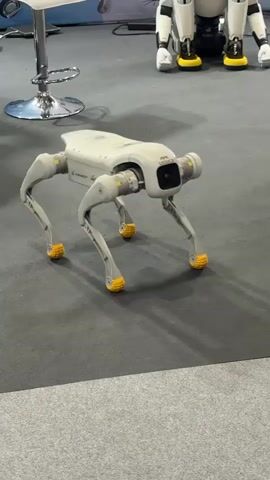 The video shows a four-legged robot with a white body and yellow feet on a grey carpeted floor. The robot is positioned in the center of the frame, facing the camera. To the left of the robot is a silver bar stool. In the background, two humanoid robots are partially visible, one with a white body and black legs, and the other with a white body and red accents on its head. The lighting in the scene is neutral.