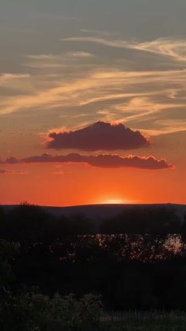 The video displays a sunset with the sun partially visible on the horizon. The sky is filled with vibrant orange and pink hues, with streaks of clouds illuminated by the setting sun. In the foreground, silhouetted trees and foliage create a dark, indistinct outline against the bright sky. The overall scene captures a natural landscape during dusk.