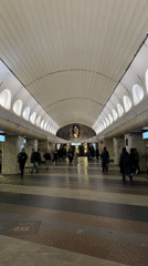 Commuter flow captured at Moscow metro station