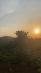 Sunset observed across palm-studded landscapes in southeastern Nigeria
