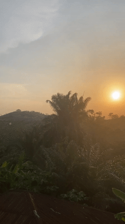 Sunset observed across palm-studded landscapes in southeastern Nigeria