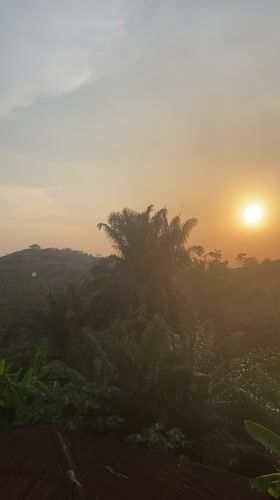 Sunset observed across palm-studded landscapes in southeastern Nigeria