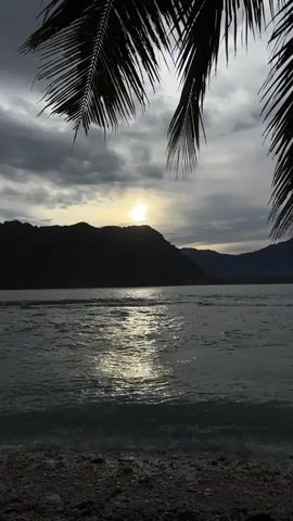 A vertical video captures a serene beach scene at dusk. The foreground is a rocky shoreline with gentle waves lapping at the edge. Lush palm fronds hang from the top, framing the view. In the middle ground, the ocean stretches towards a silhouetted mountain range in the distance. The sun, partially obscured by dark clouds, casts a shimmering reflection on the water. The overall atmosphere is tranquil and moody, indicative of the transition from day to night. No people or animals are visible in the frame.