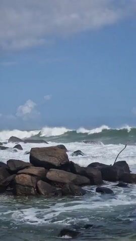 The video shows a rocky coastline. Waves crash against the rocks, with a blue sky and scattered clouds in the background. The water is churning and white where it hits the rocks. The rocks are dark and appear to be wet. There is a single, thin branch sticking out of the water in the lower right corner of the frame.